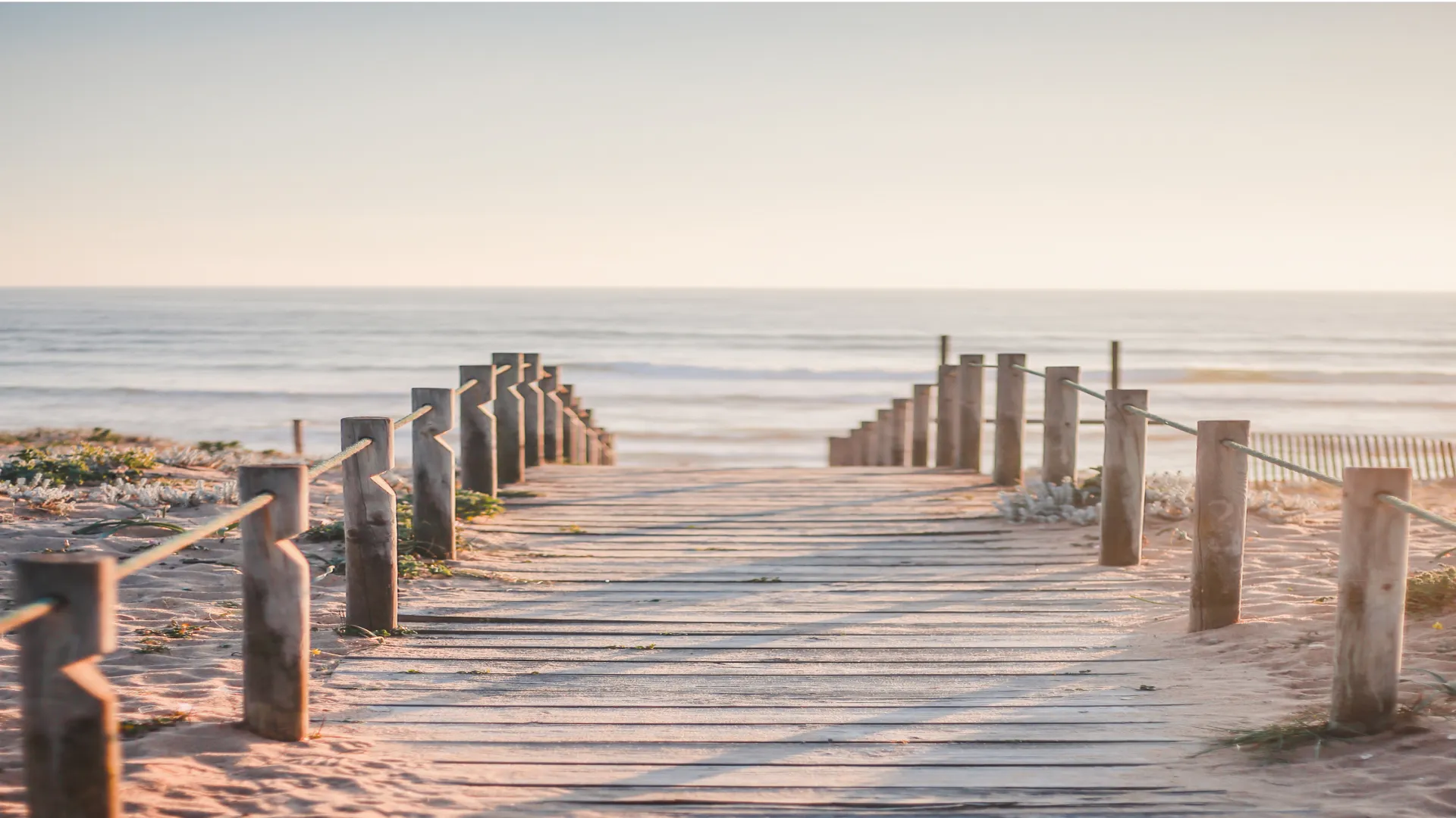 Dr. Hedayati performing Mohs surgery for precise skin cancer removal