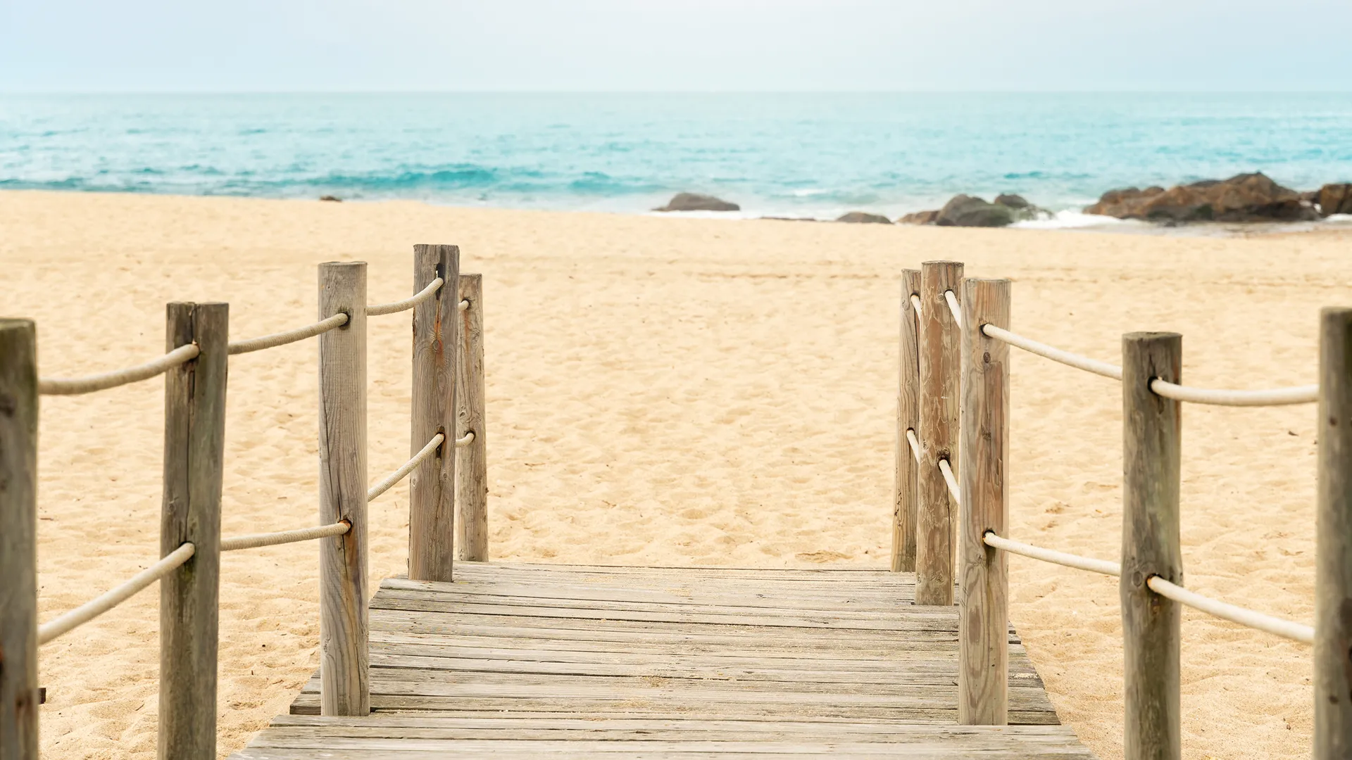 Dr. Hedayati performing mole and unwanted lesion excision