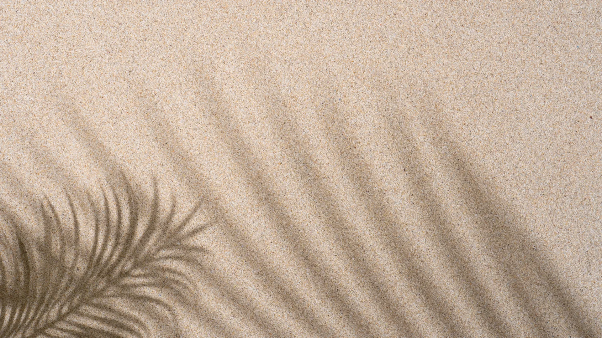 Review how we collect, use and protect your information when you visit New Wave Dermatology & Laser’s website in Newport Beach and Orange County.