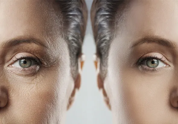 Microscopic examination during Mohs surgery procedure